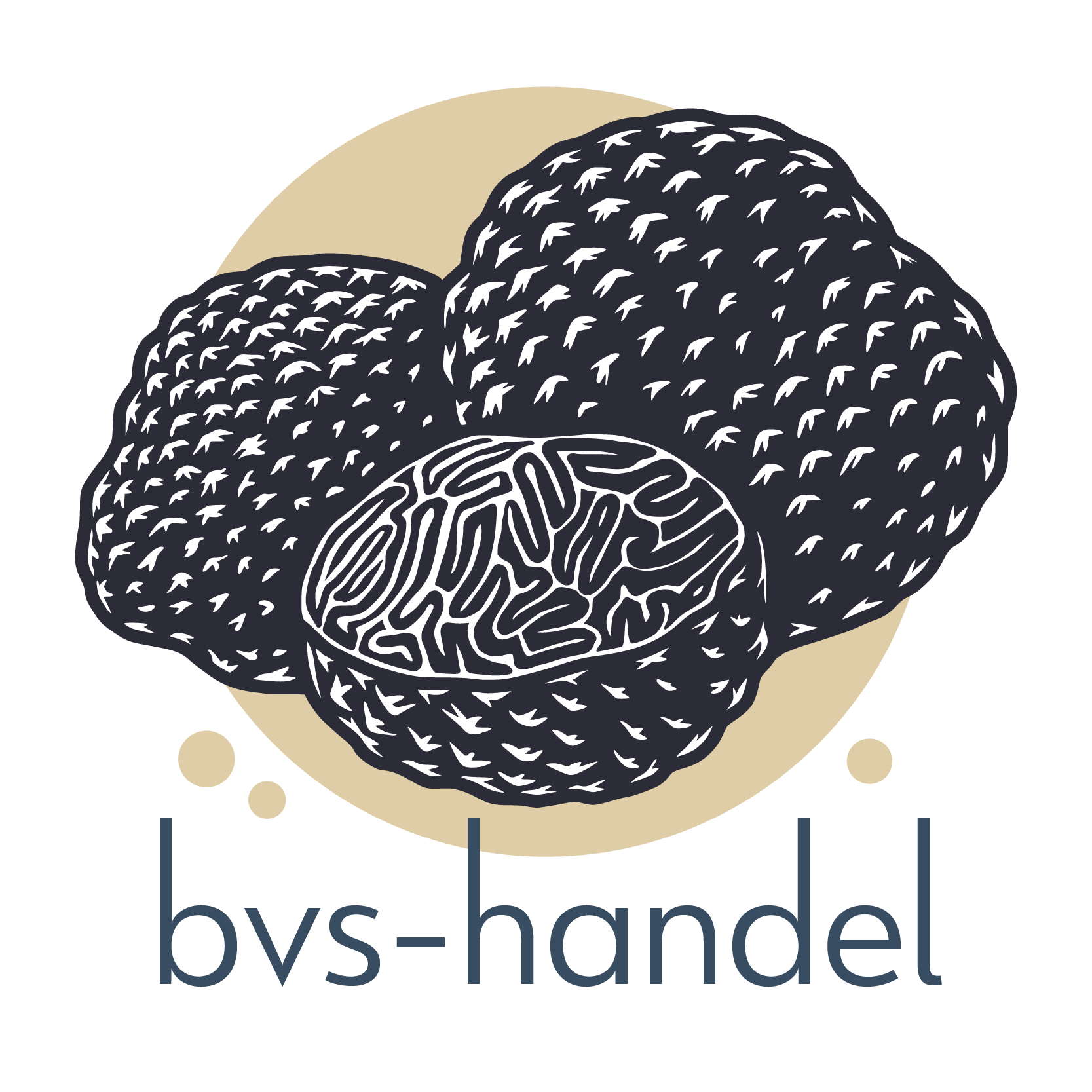 Logo BVS handel